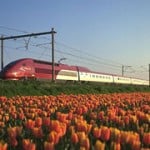 Thalys Trains from Amsterdam from Paris or Brussels