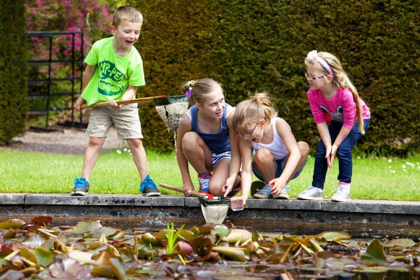 National Trust membership helps conservation of nature and wildlife