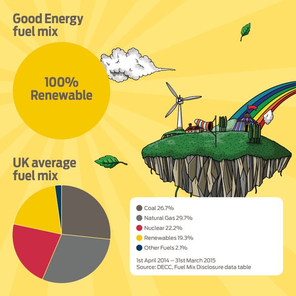 Good Energy fuel comparison